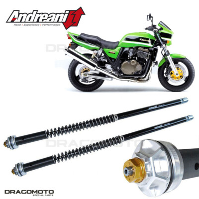KAWASAKI ZRX 1200 R 2000-2006 cartridge ANDREANI 105/K39E MISANO EVO