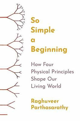 #ad So Simple a Beginning: How Paperback by Parthasarathy Raghuveer Very Good $7.63