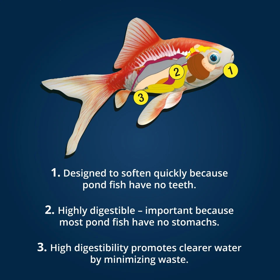 Tetra Pond Koi Vibrance Floating Color-Enhancing Fish Food, 16.5 lbs - Image 4 of 4