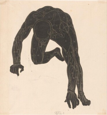 Anatomical Study 3 Figurative Art Print   Reijer Stolk   1945   Woodcut Anatomy