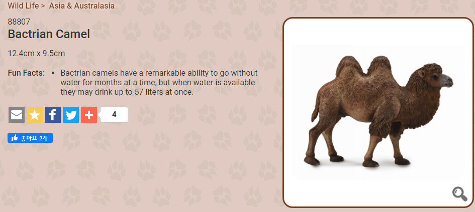 2017 NEW Collecta Animal Toy / Figure Bactrian Camel | eBay