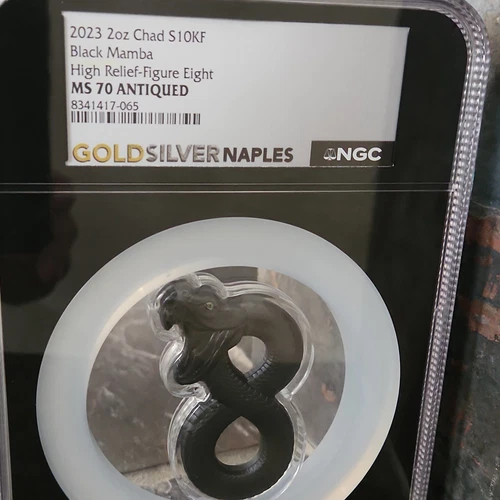 2023 Chad 10000 Francs Black Mamba 2 oz Silver - NGC MS70 ANTIQUED High Relief