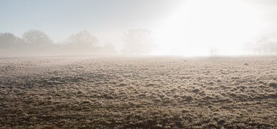 Foto 6x4 Nebel durch die Felder, Trent Park Cockfosters Ein echter Winter w c2016