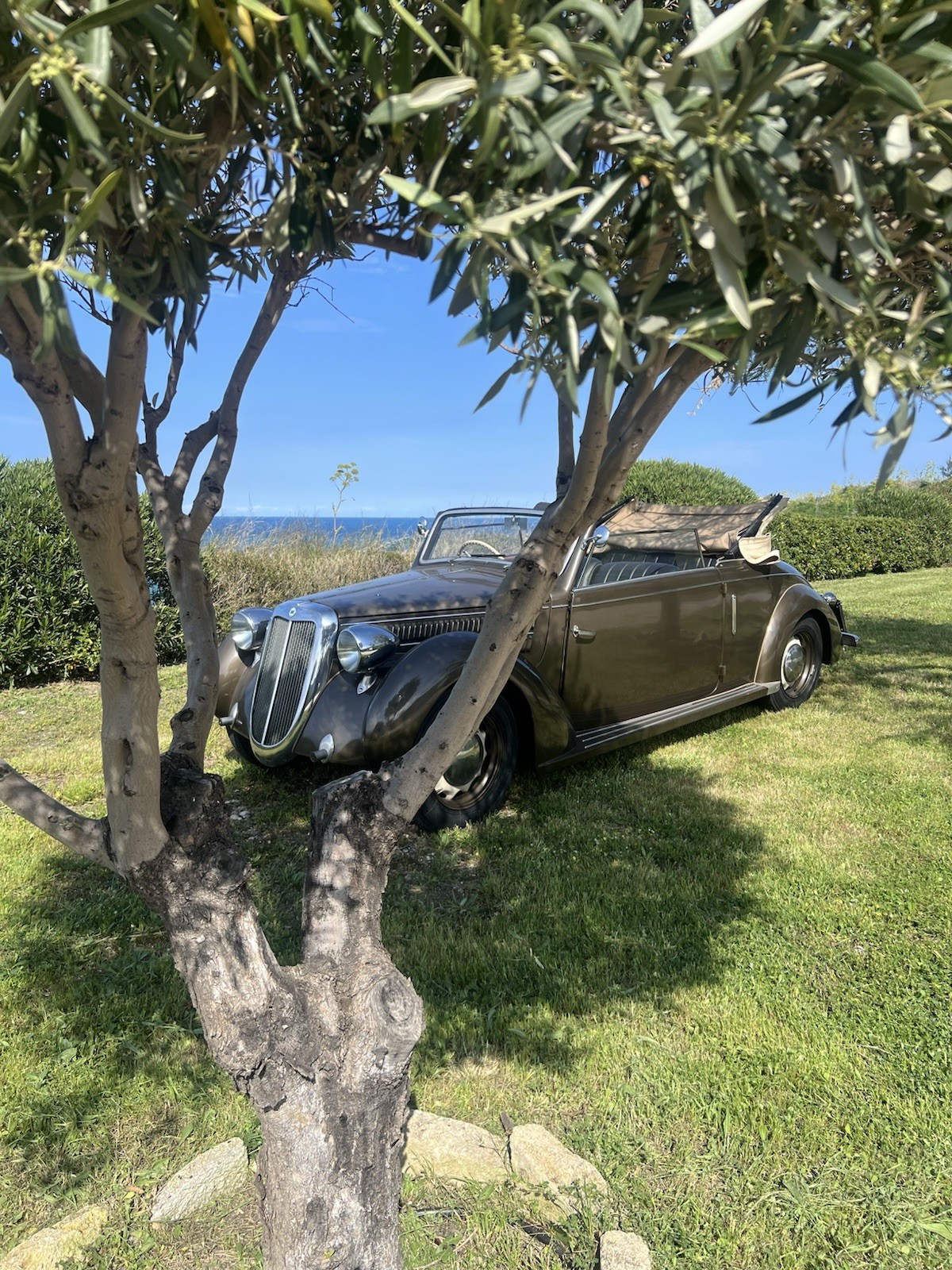 Acquista per Il tuo Evento Speciale.