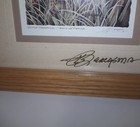 Picture 3 of 4