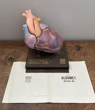 Vintage Merck Sharp Dohme Pharmaceutical Medical Advertising Heart Model