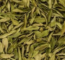 Ceylon Natural  Organic Dry Curry Leaves (Murraya Koenicll) 100gram Free Shiping