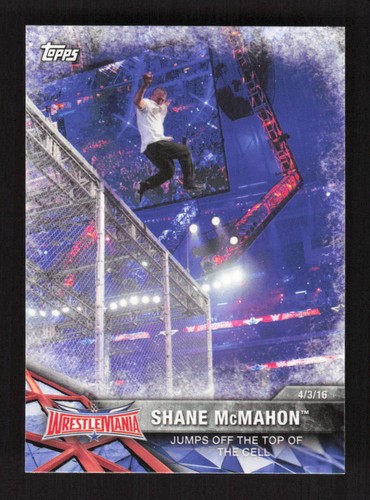 2017 Topps WWE Road To WrestleMania Shane McMahon #60 - Picture 1 of 2