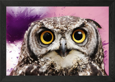 Eule gerahmtes Wandbild Poster Leinwanddruck Bild