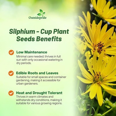 plant food and fertilizer Pothos Plant Food  Enriched, Bioavailable Liquid Fertilizer