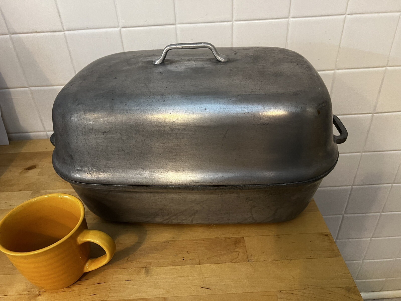 Master Heavy Cast Dutch Oven Turkey Roasters Magnalite eBay