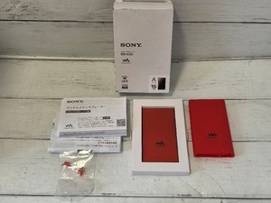 Sony Walkman A105 | eBay