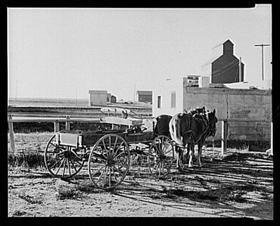 Photo:Antelope Montana William Hunter Buckboard and Horses 1937 Nov.