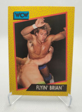 1991 Impel WCW #62 Flyin Brian Pillman Wrestling Card