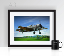 Curtiss Hawk - Poster