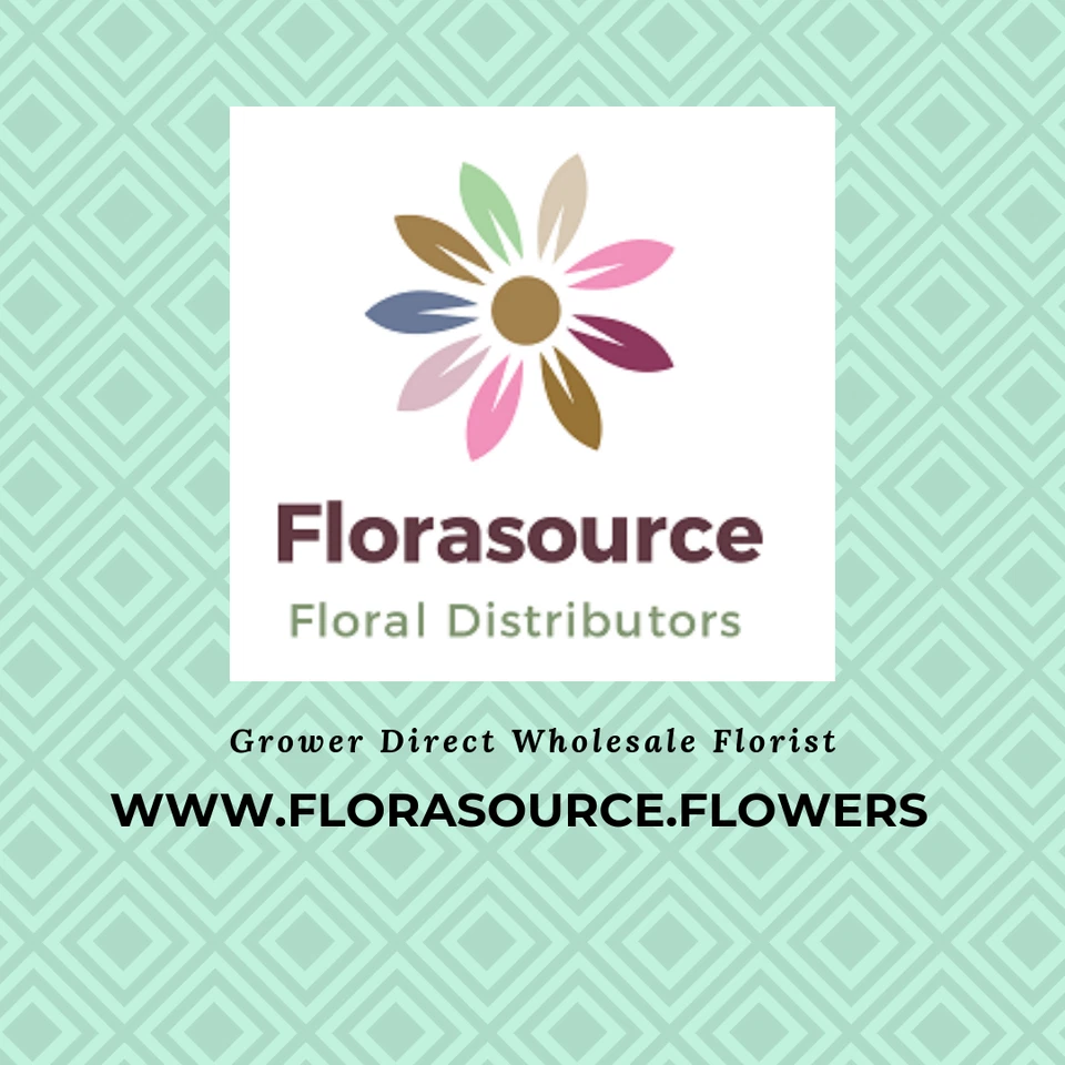 Magnolia Garland / Wholesale / Grower Direct - Photo 2/2