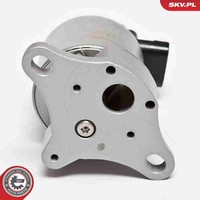 Esen SKV AGR Ventil 14SKV042 FüR Sintra Opel APV Omega V94 12V Caravan 16V F35