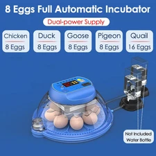 Small Household Fully Automatic Smart Bird Egg Incubator for Rutin Chicks,