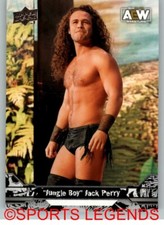2023 Upper Deck AEW #25 Jungle Boy Jack Perry