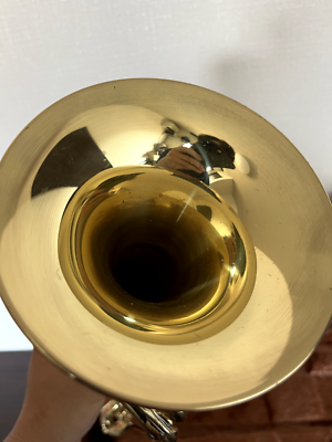 YAMAHA YTR-233 trumpet Mouthpeace Hard case | eBay