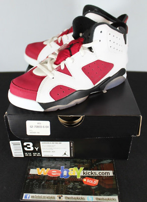 Air Jordan Retro VI 6 Carmine Red White Black Sneakers Boys PS 3Y 384666-160 New