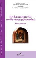 Nouvelles ProcéDures Civiles, Nouvelles Pratiques Professionnelles ? Taschenbuch
