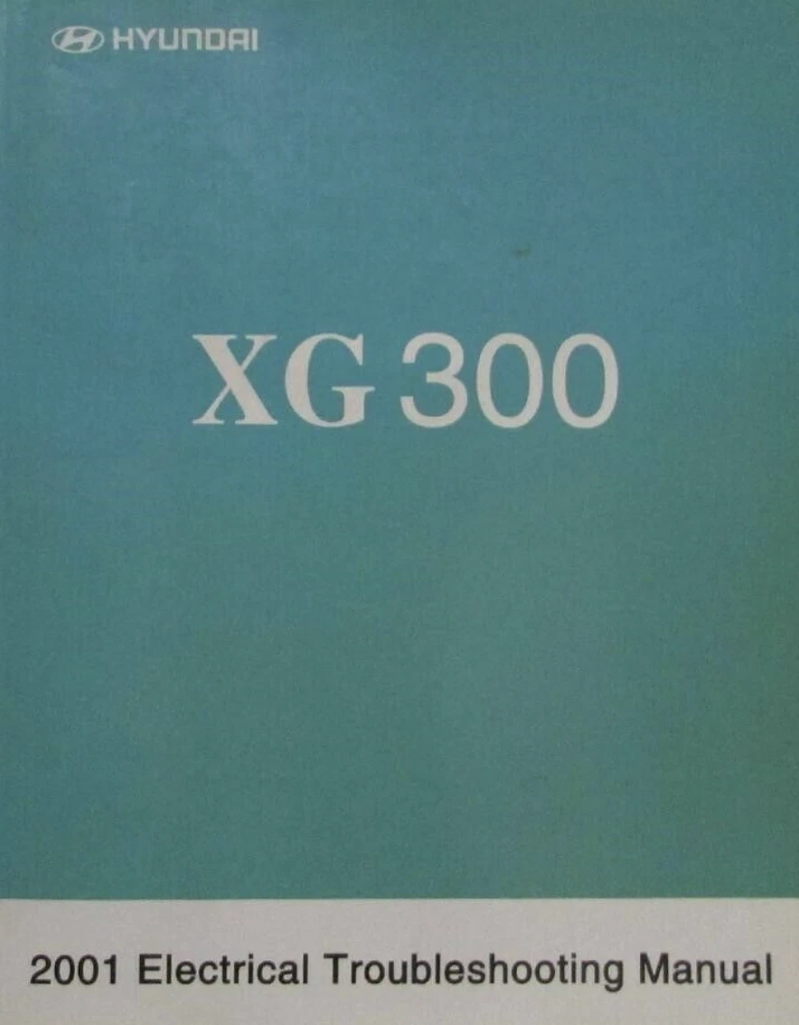2001 Hyundai Xg300 Fuse Diagram