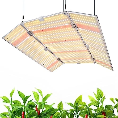 480W BU4800 LED Grow Lights for 4x4 5x5 Grow Tent Full Spectrum