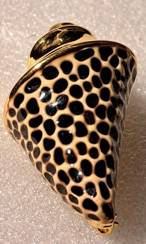Image thumbnail 4