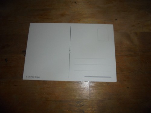 CARTOLINA GRANDE TORINO CM 15x10 "OPERTO" IL GRANDE TORO C.G. - Imagen 2 de 2