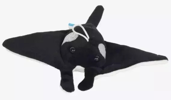 4548678010533  14 Dubi