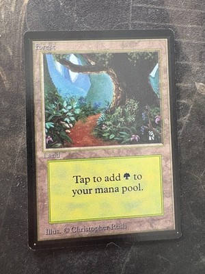 *** BETA Forest (Path) *** NM-Mint Beauty! - DUTY PAID - Magic MtG