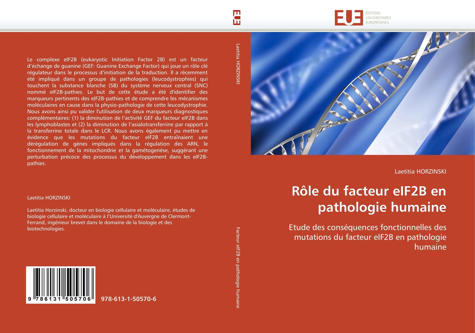 Rôle Du Facteur Eif2b En Pathologie Humaine Laetitia Horzinski