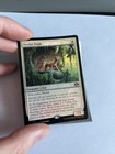 x1 Ocelot Pride - Foil M MTG Modern Horizons 3 M/NM, English | eBay