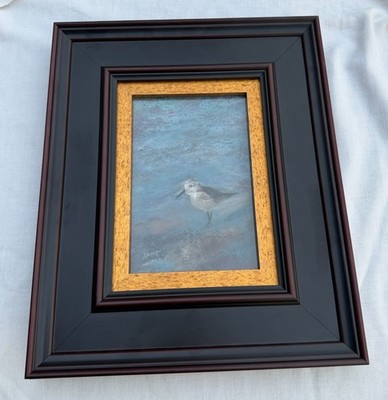 Signed Jan Sharp Pastel Painting Of A Shorebird  Sandpiper #2 