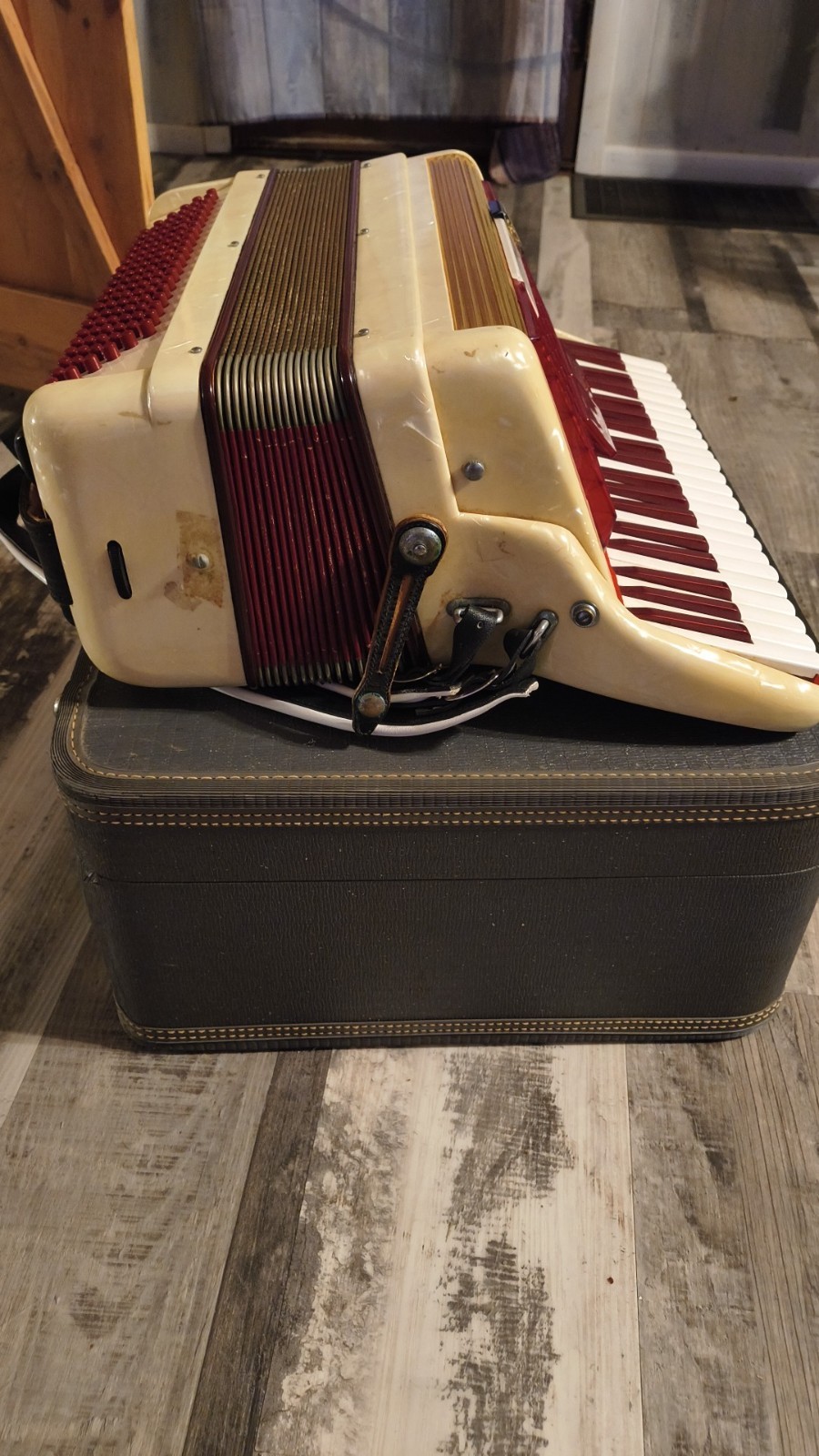 Scandalli Vintage Italian Accordian Great Shape With  Beautiful Red Velvet Case