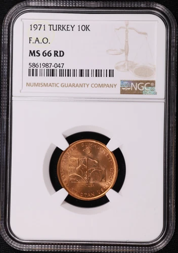 1971 Turkey 10 Kurus FAO Bronze Coin KM 898 NGC MS 66 RD