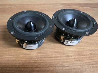 Dayton Audio RS100P-4 4''-MITTELTÖNER, 2 Stück