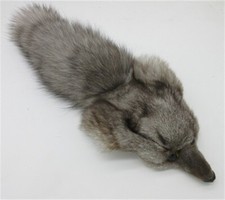 Real Fox Head Face Pelt Tanned Fox Skin Fox Tail Fur Hide Bag with Head Tail
