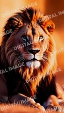 Digital Art Picture Image Photo Wallpaper Background Desktop AI - Lion Savannah