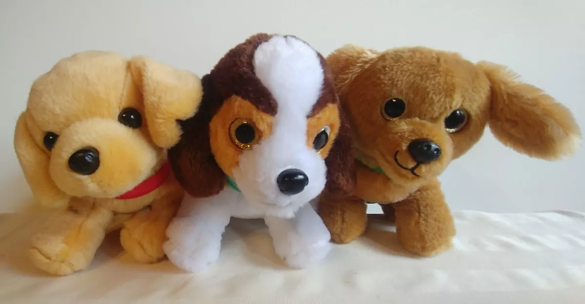 Golden retriever beagle puppies 2025