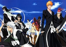 Bleach serie completa espanol latino DVD 366 capitulos