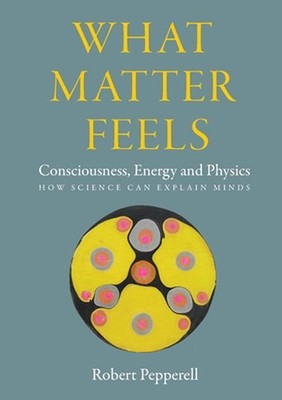 What Matter Feels: Consciousness, Energy and Physics (How Science can Explain Mi