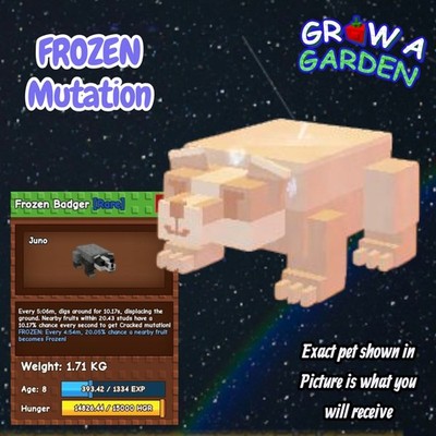 FROZEN Badger. Age/Weight Shown In Photo. Grow A Garden. Same Day