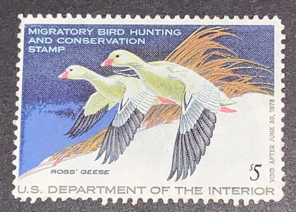 Travelstamps: 1977 US DUCK STAMPS SCOTT #RW44 $5 ROSS' S GEESE MINT OG LH - Image 2 of 4