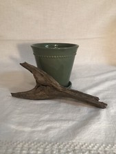 Natural Driftwood Perfect For Aquariums Taxidermy Gardens 9 1/4 Tall