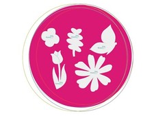 Kiwi Lane Scrapbooking NEW Cherish, Nature, Liberty, Celebrate, Whimsy