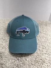 VTG Patagonia Buffalo Bison Patch Sunset Mountain Live Simply Clean Trucker Hat