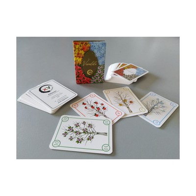 XV Card Game Vivaldi Box New
