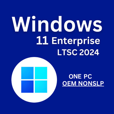 Microsoft Windows 11  Enterprise LTSC 2024 Single Device on USB